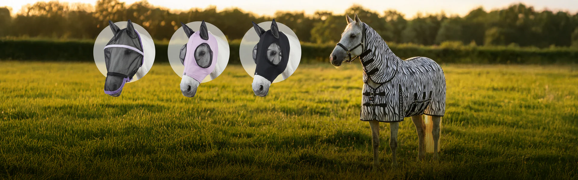 Alt for hest og rytter